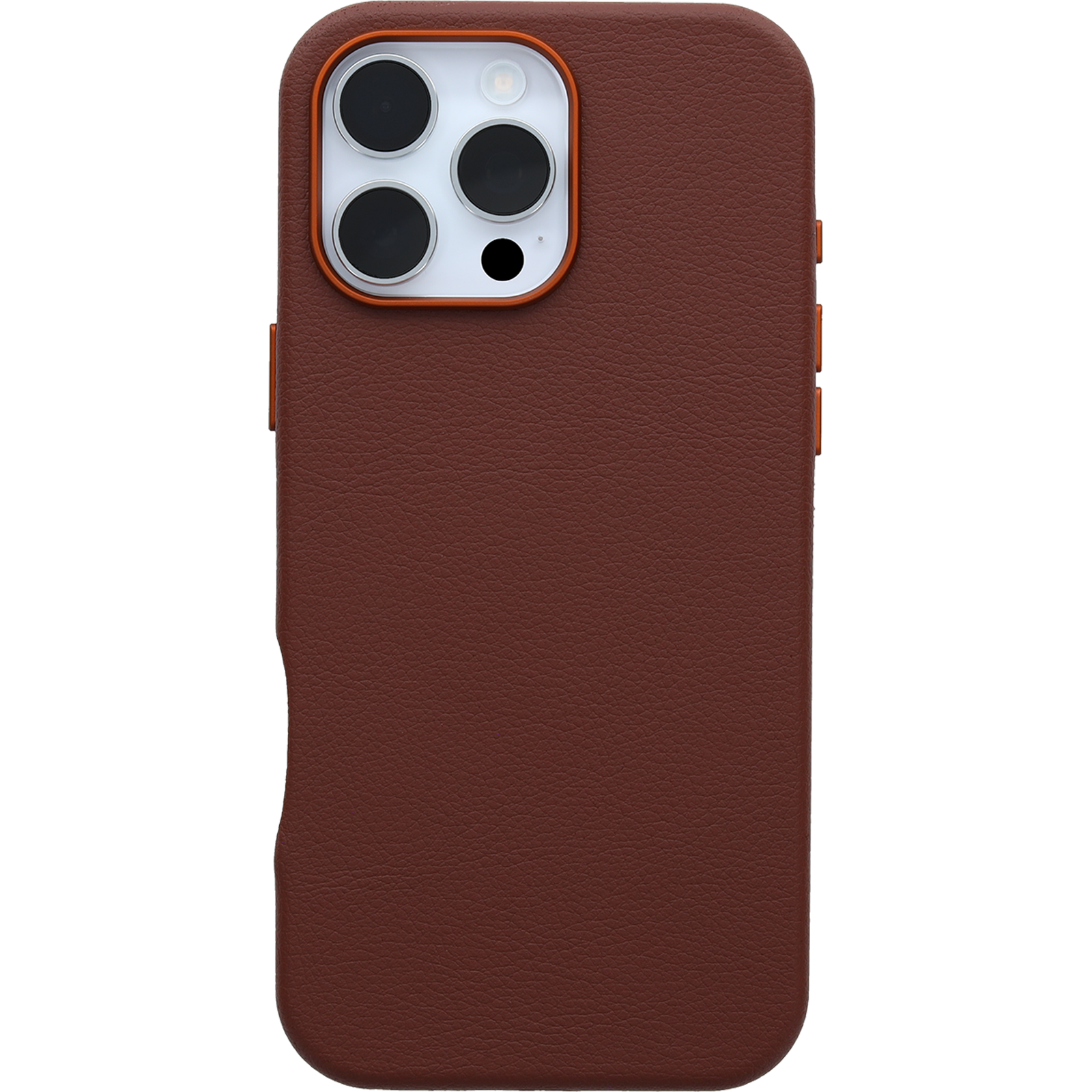 iPhone 16 Pro Max Symmetry Series Cactus Leather for MagSafe Case - Image 27339